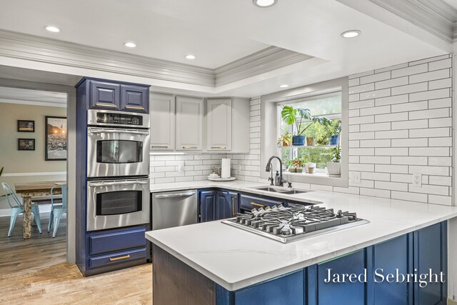 6872 Forest Valley Dr SE, Grand Rapids, MI 49546 - kitchen featuring blue cabinets, stainless steel appliances, ornamental molding, a sink, and light wood-style floors