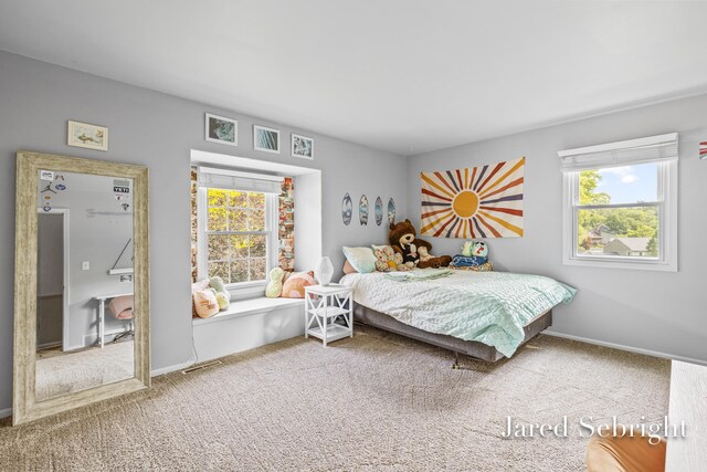 6872 Forest Valley Dr SE, Grand Rapids, MI 49546 - bedroom with carpet flooring and baseboards