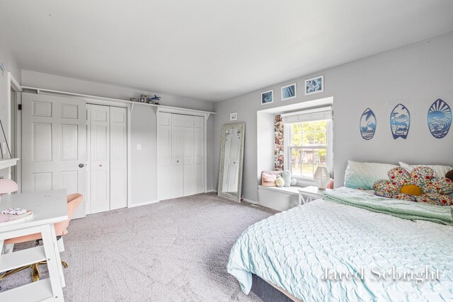 6872 Forest Valley Dr SE, Grand Rapids, MI 49546 - bedroom with carpet flooring and multiple closets