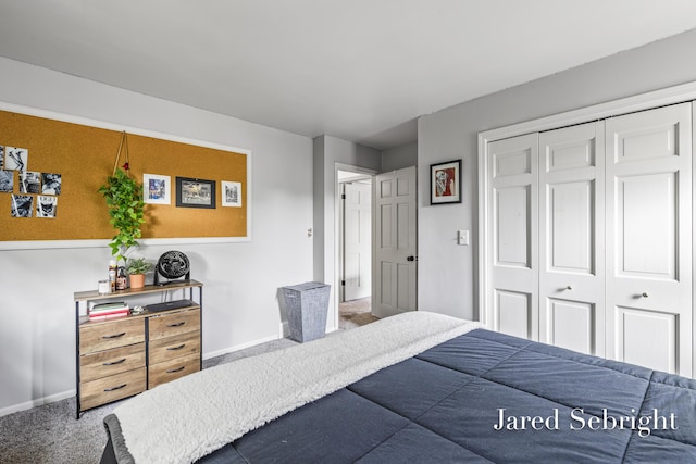 6872 Forest Valley Dr SE, Grand Rapids, MI 49546 - bedroom with carpet flooring, baseboards, and a closet