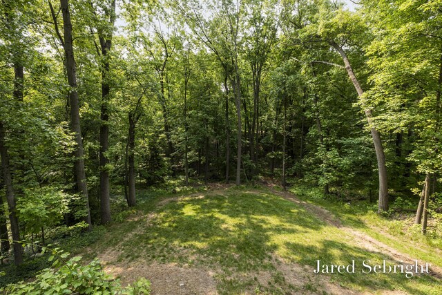 6872 Forest Valley Dr SE, Grand Rapids, MI 49546 - view of woods