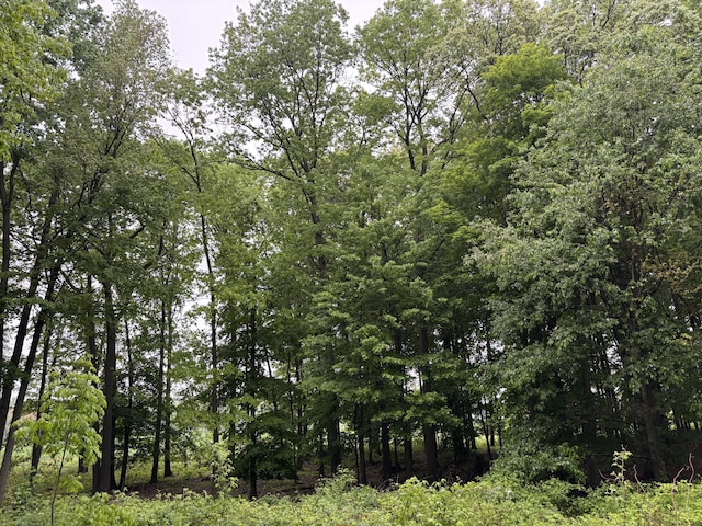 5220 Park Dr, Six Lakes, MI 48886 - photo 7