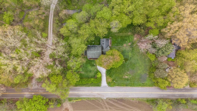 16434 S Basswood Rd, Three Oaks, MI 49128 - aerial view