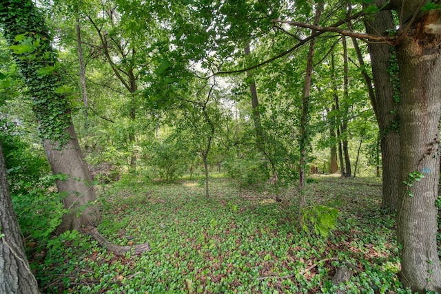 311 Rosehill Rd, Jackson, MI 49202 - photo 8