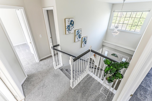 2400 Rockport Ct, Ann Arbor, MI 48103 - photo 50