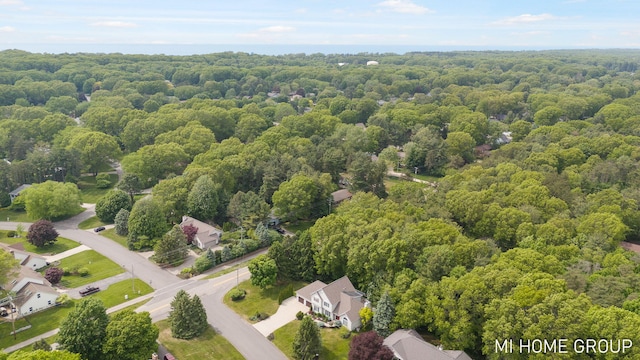 2103 Woodlark Dr, Holland, MI 49424 - drone / aerial view of a forest