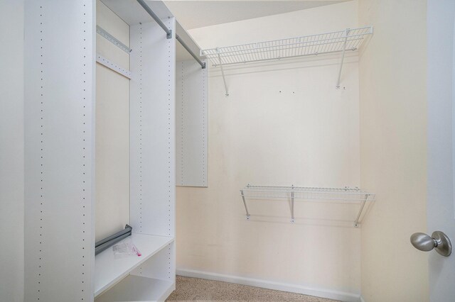302 NE Xing, Holland, MI 49423 - photo 14