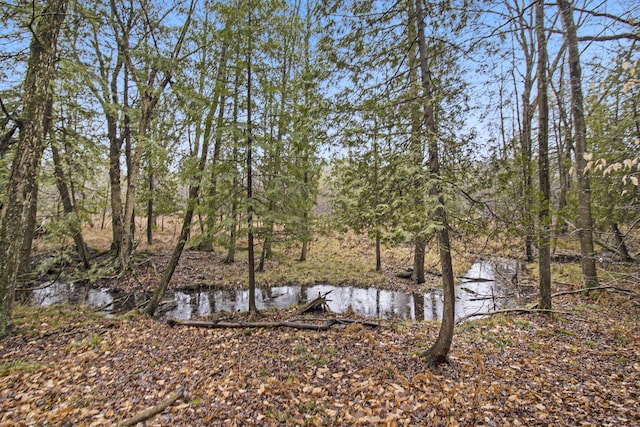 0 N Dennis Rd, Ludington, MI 49431
