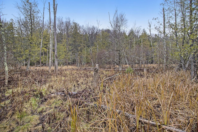 0 N Dennis Rd, Ludington, MI 49431