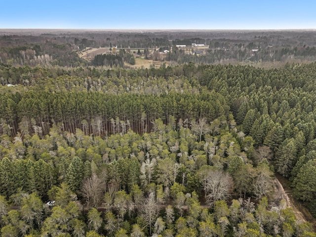 0 N Dennis Rd, Ludington, MI 49431