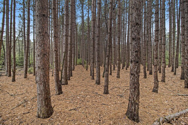 0 N Dennis Rd, Ludington, MI 49431
