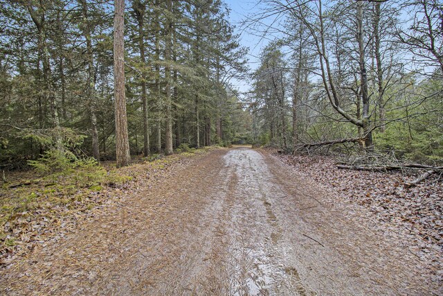 0 N Dennis Rd, Ludington, MI 49431