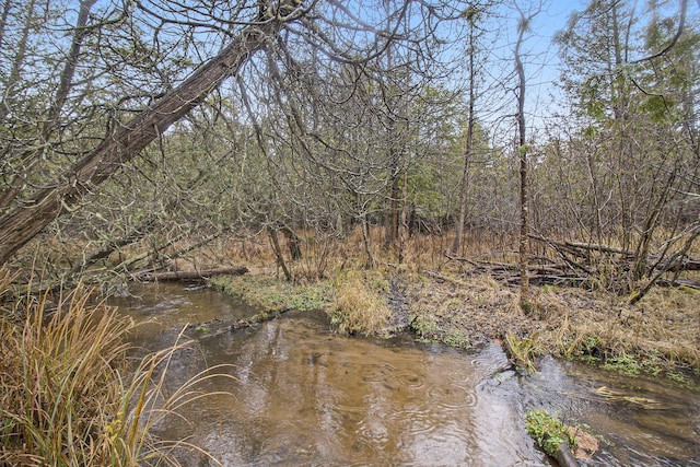0 N Dennis Rd, Ludington, MI 49431