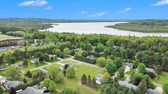 VL Sandy Lane, Bellaire, MI 49615