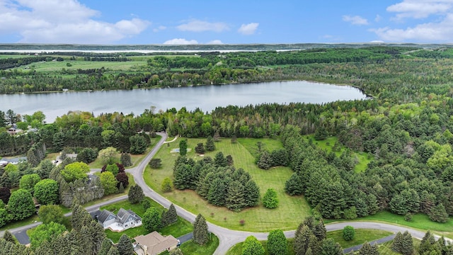 VL Sandy Lane, Bellaire, MI 49615