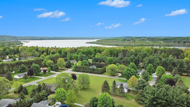 VL Sandy Lane, Bellaire, MI 49615
