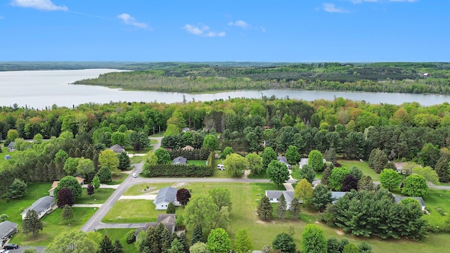 VL Sandy Lane, Bellaire, MI 49615