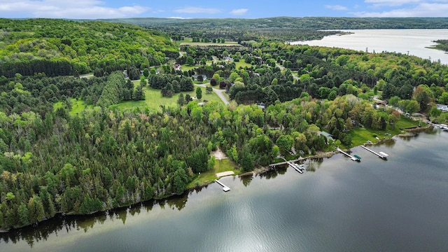VL Sandy Lane, Bellaire, MI 49615