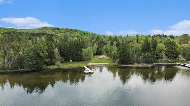 VL Sandy Lane, Bellaire, MI 49615