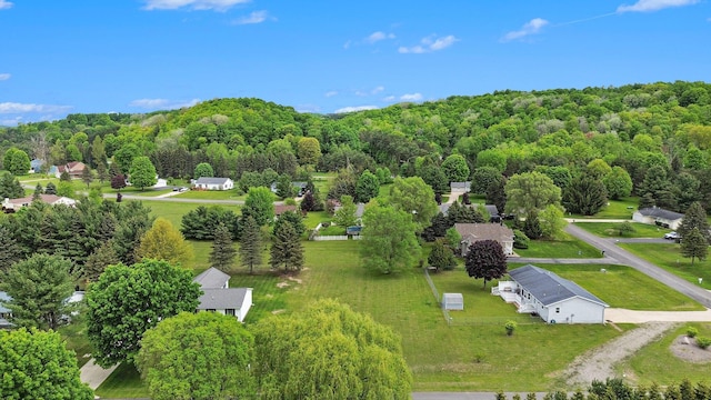VL Sandy Lane, Bellaire, MI 49615