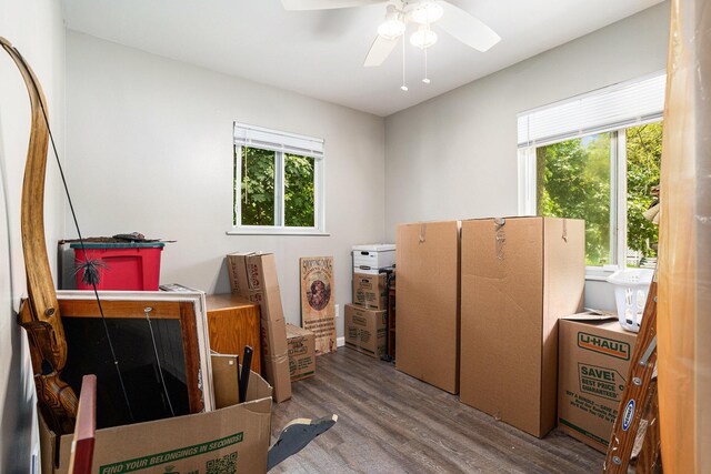 84 Eldred St, Battle Creek, MI 49015 - bedroom featuring wood finished floors and ceiling fan