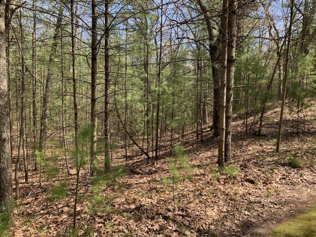 Lenox Ave, Pentwater, MI 49449
