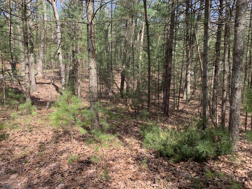 Lenox Ave, Pentwater, MI 49449