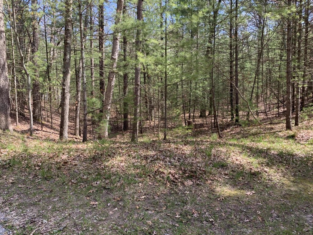 Lenox Ave, Pentwater, MI 49449