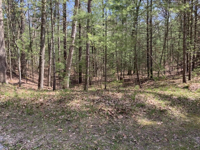 Lenox Ave, Pentwater, MI 49449