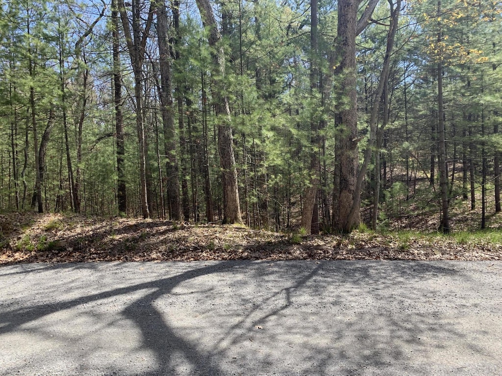 Lenox Ave, Pentwater, MI 49449