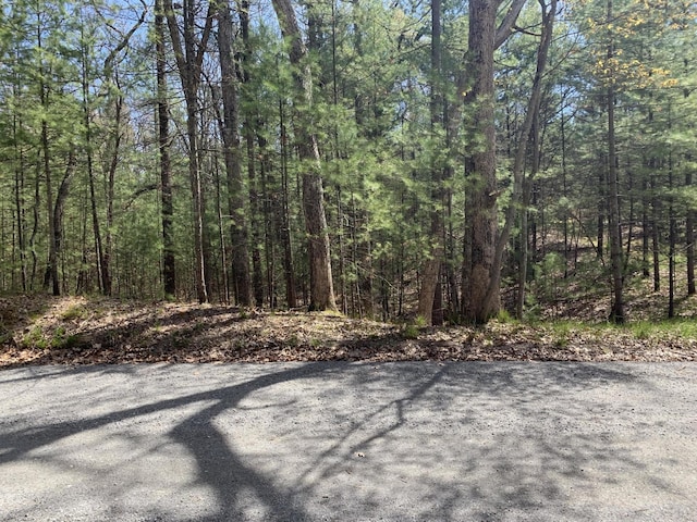 Lenox Ave, Pentwater, MI 49449