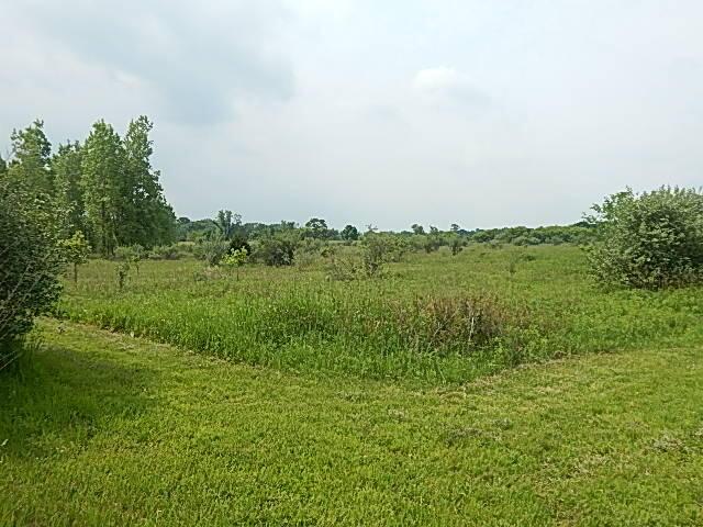 2855 Oakley Rd, Stockbridge, MI 49285 - photo 3