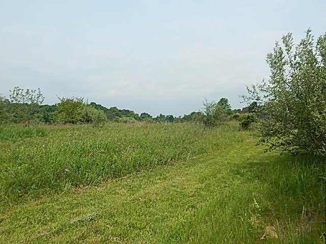 2855 Oakley Rd, Stockbridge, MI 49285 - photo 5