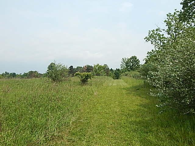 2855 Oakley Rd, Stockbridge, MI 49285 - photo 6