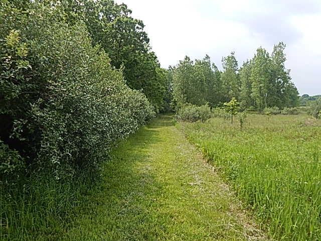2855 Oakley Rd, Stockbridge, MI 49285 - photo 7