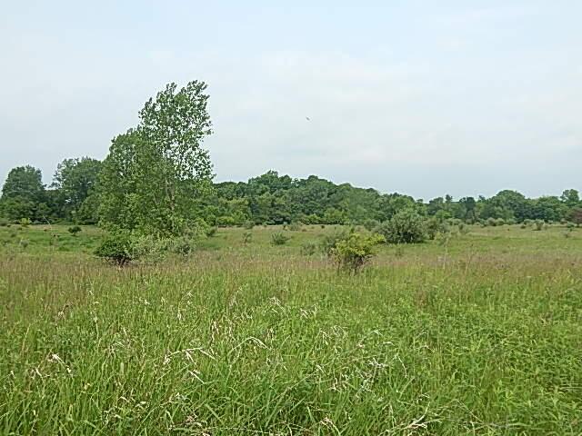 2855 Oakley Rd, Stockbridge, MI 49285 - photo 8