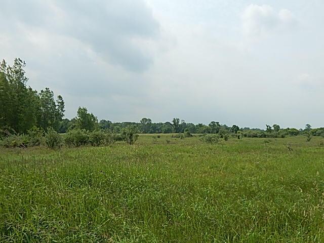 2855 Oakley Rd, Stockbridge, MI 49285 - photo 10
