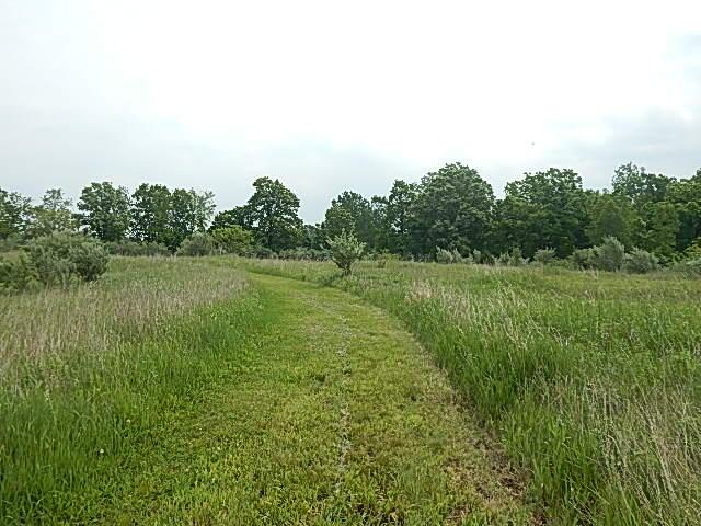 2855 Oakley Rd, Stockbridge, MI 49285 - photo 11