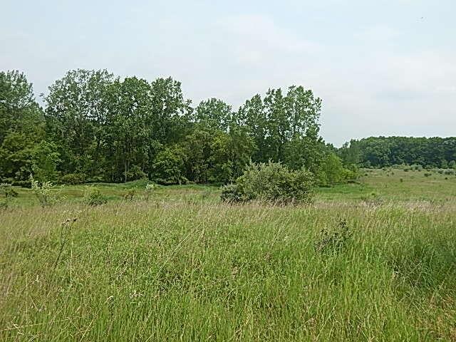 2855 Oakley Rd, Stockbridge, MI 49285 - photo 14