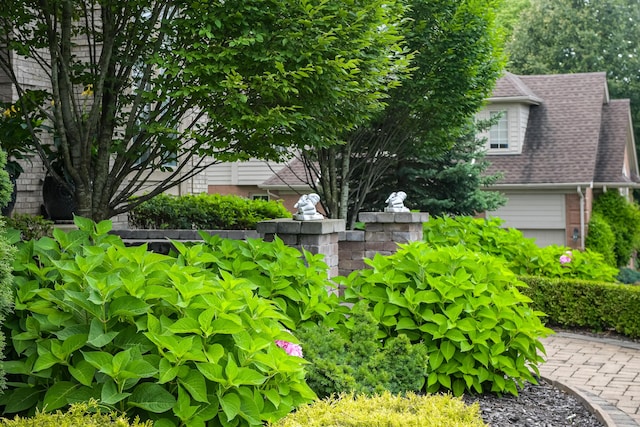 71 Knorrwood Dr, Rochester Hills, MI 48306 - view of yard