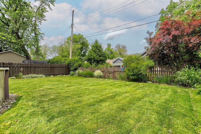 43 W Cherry Ave, Zeeland, MI 49464 - view of yard