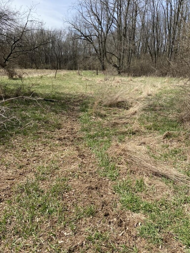 4500 S 42nd St, Climax, MI 49034
