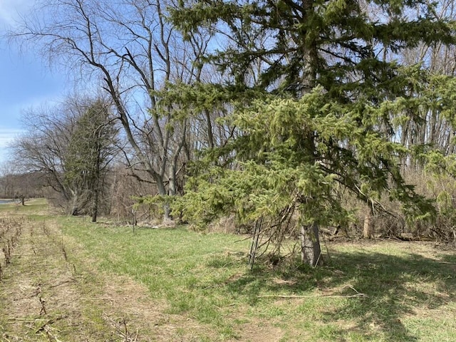 4500 S 42nd St, Climax, MI 49034