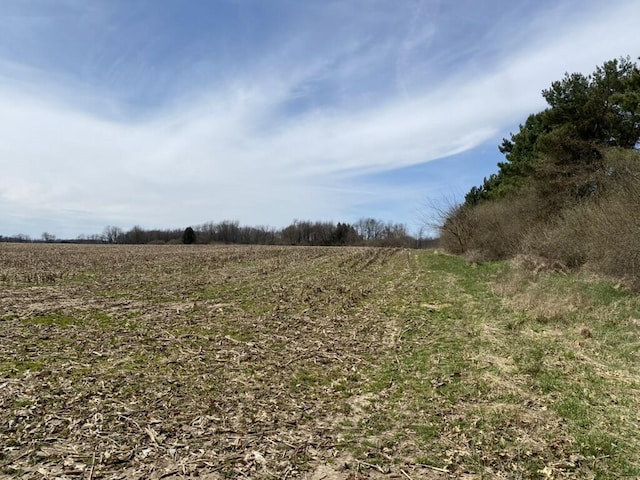 4500 S 42nd St, Climax, MI 49034