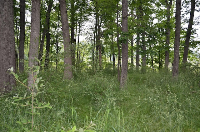 4500 S 42nd St, Climax, MI 49034
