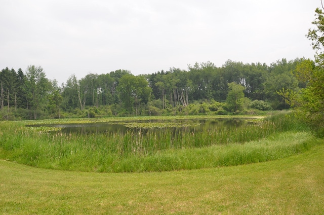 4500 S 42nd St, Climax, MI 49034