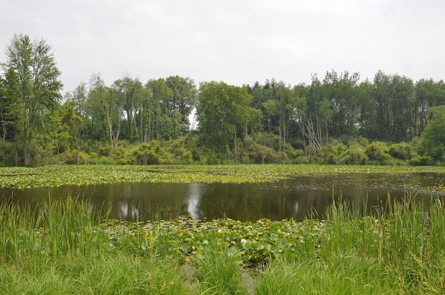 4500 S 42nd St, Climax, MI 49034