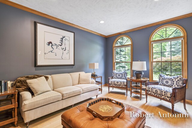 6374 Blakely Dr NE, Rockford, MI 49341 - living room with light wood finished floors, a textured ceiling, ornamental molding, baseboards, and recessed lighting