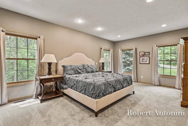 6374 Blakely Dr NE, Rockford, MI 49341 - bedroom featuring carpet, baseboards, recessed lighting, multiple windows, and a textured ceiling