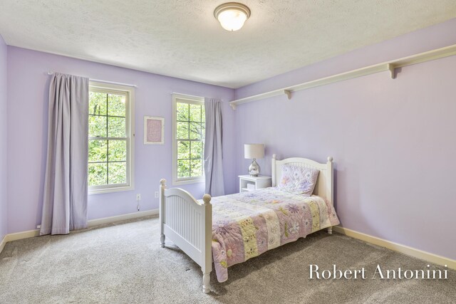 6374 Blakely Dr NE, Rockford, MI 49341 - carpeted bedroom with a textured ceiling and baseboards